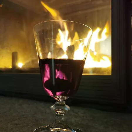 лиловата къща Case de vacanță *