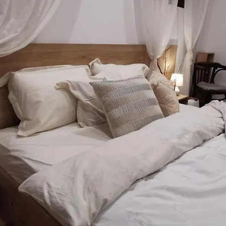 лиловата къща Kalofer