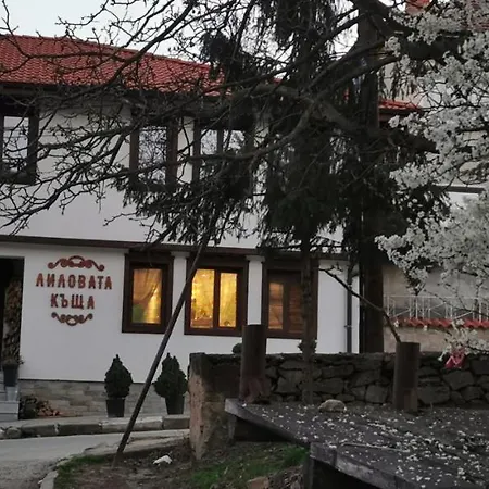 лиловата къща *