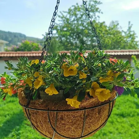 Дом отдыха лиловата къща Калофер