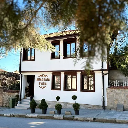 Tatil Evi лиловата къща