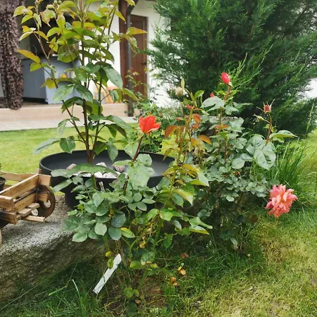 Дом отдыха лиловата къща