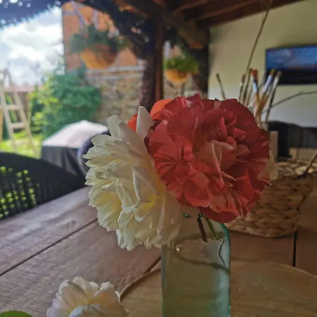 лиловата къща