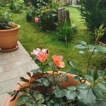 лиловата къща *