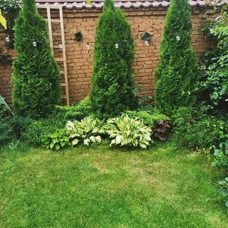 лиловата къща Дом отдыха Калофер