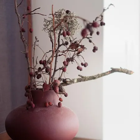 лиловата къща Nyaraló Kalofer