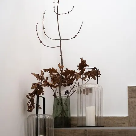 лиловата къща *