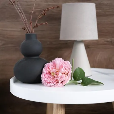 Vakantiehuis лиловата къща Kalofer