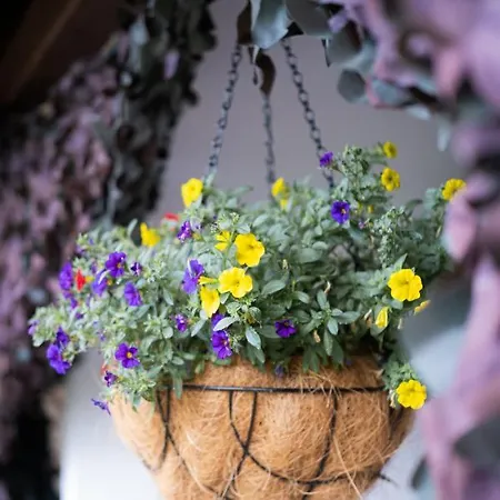 лиловата къща Vakantiehuis Kalofer