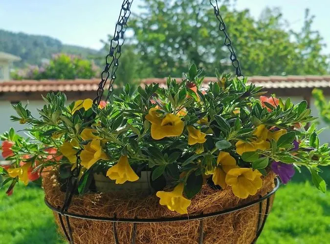 Feriehus лиловата къща Kalofer