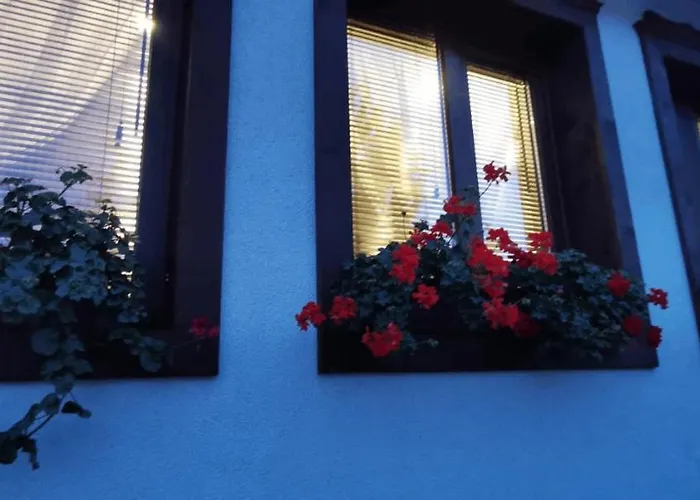 лиловата къща Kalofer