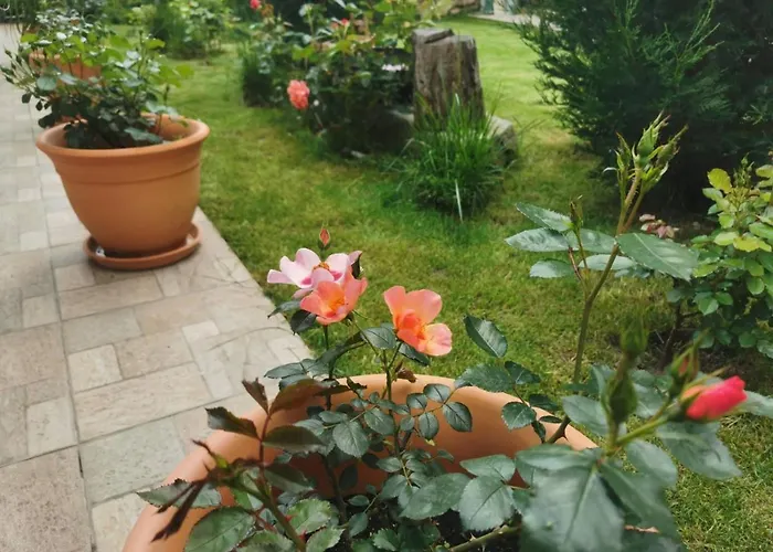 лиловата къща *