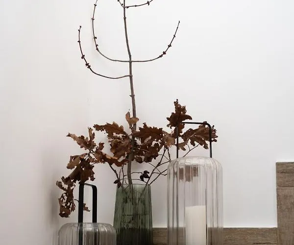 лиловата къща *