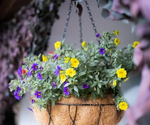 лиловата къща Σπίτι διακοπών Kalofer